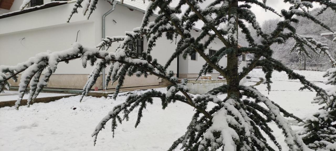 Gerecse Vendeghaz Hotel Sutto Exterior foto